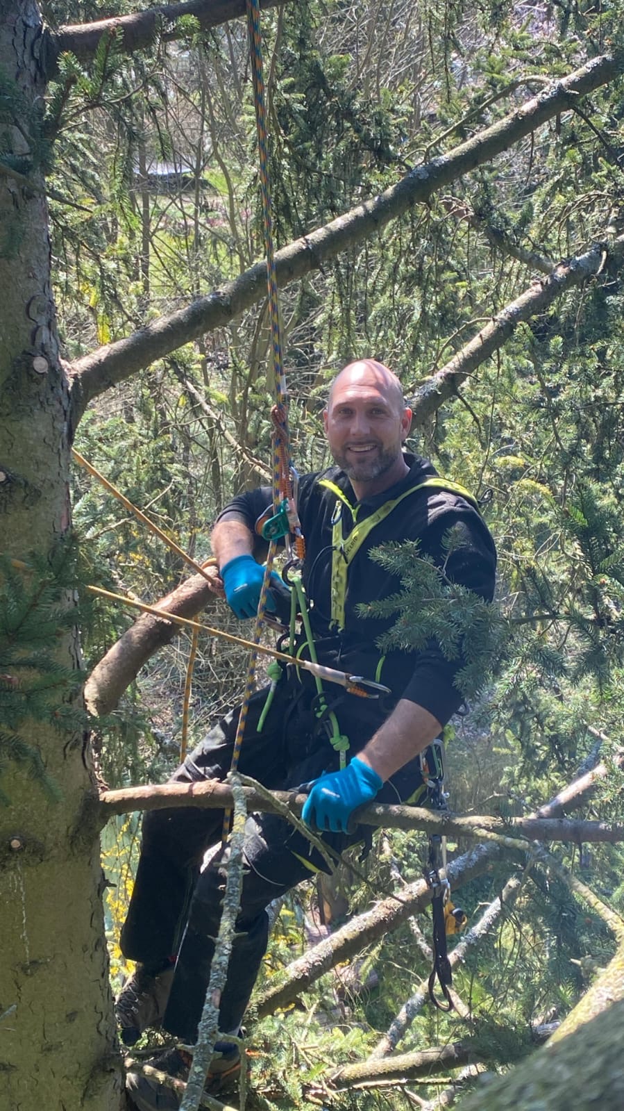 Markus Froese mit Kletterausrüstung bei der Baumpflege